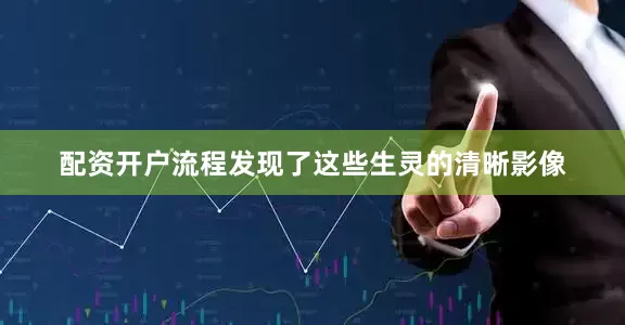 配资开户流程发现了这些生灵的清晰影像