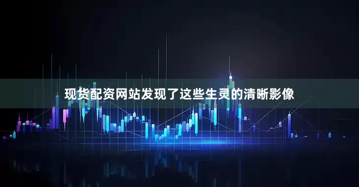 现货配资网站发现了这些生灵的清晰影像