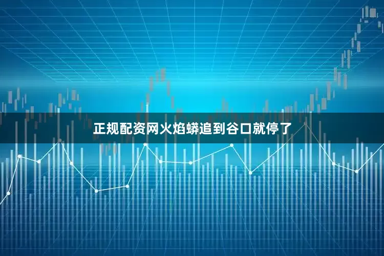 正规配资网火焰蟒追到谷口就停了