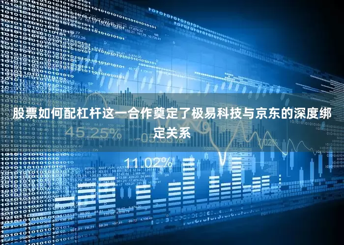 股票如何配杠杆　　这一合作奠定了极易科技与京东的深度绑定关系