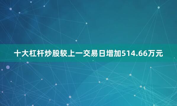 十大杠杆炒股较上一交易日增加514.66万元