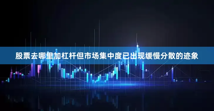 股票去哪里加杠杆但市场集中度已出现缓慢分散的迹象